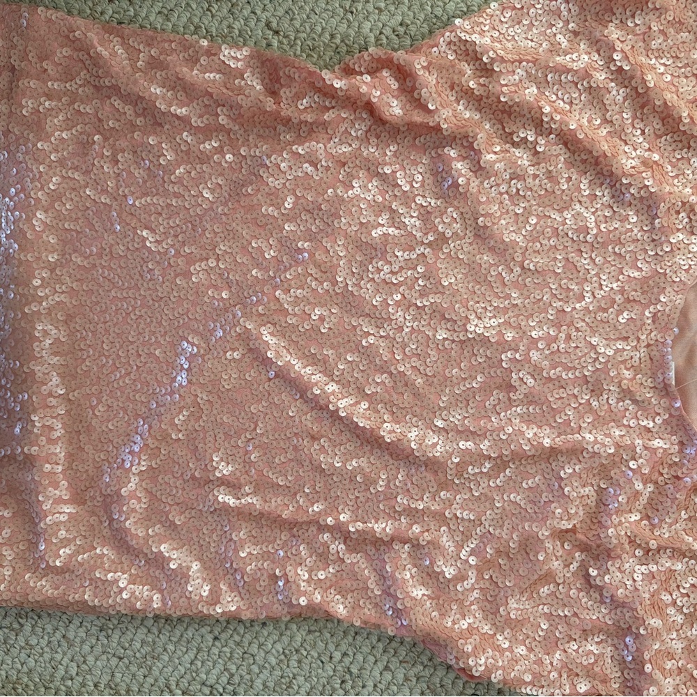 Blush Pink Sequin Strapless top